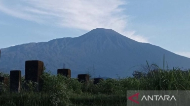 Gakkum ESDM Buka Suara Soal Viral Aktivitas Tambang di Gunung Slamet