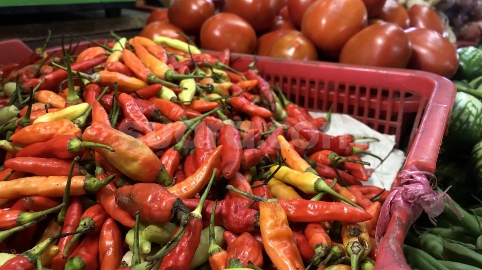 Harga Cabai Rawit di Papua Pedas, Tembus Rp125 Ribu/Kg