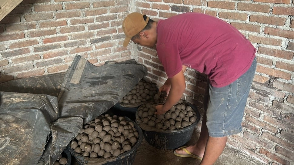 Omzet Perajin Telur Asin Melonjak hingga 4.000 Persen Berkat Program MBG