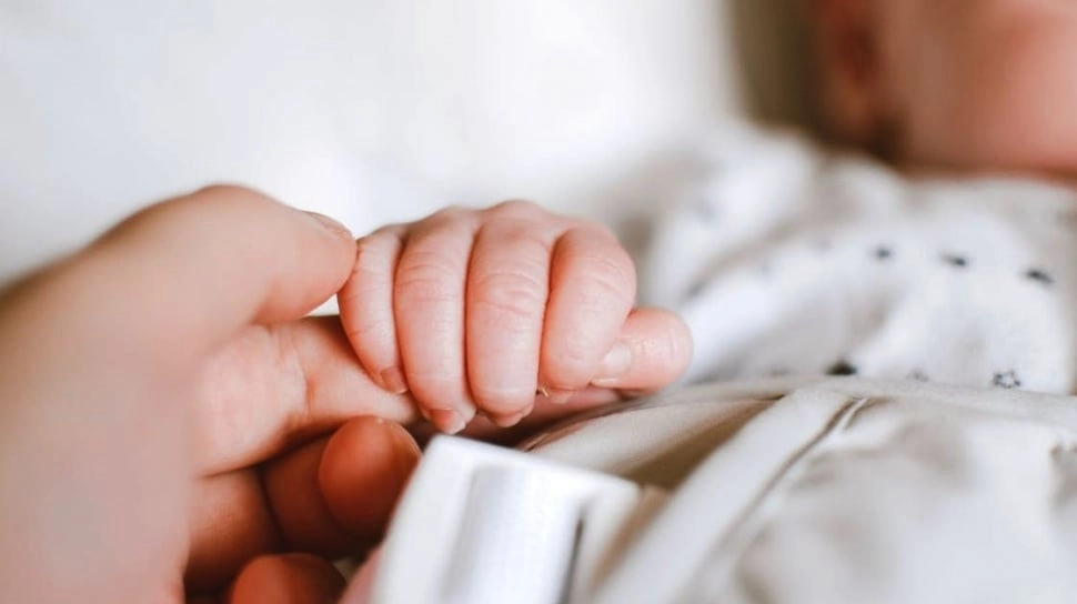 Anak Lahir Tahun 2026 Shio Apa? Intip Kepribadian dan Keberuntungannya