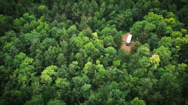 Reklamasi:  Saat Kewajiban Hukum Bertransformasi Menjadi Komitmen Pemulihan Ekosistem