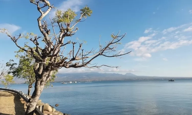 8 Tempat Wisata Dekat Bandara Sultan Muhammad Salahuddin Bima, dari Wisata Sejarah hingga Pantai Alam