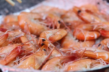 Amerika Serikat Tarik Udang Beku Asal Indonesia Sepanjang 2025