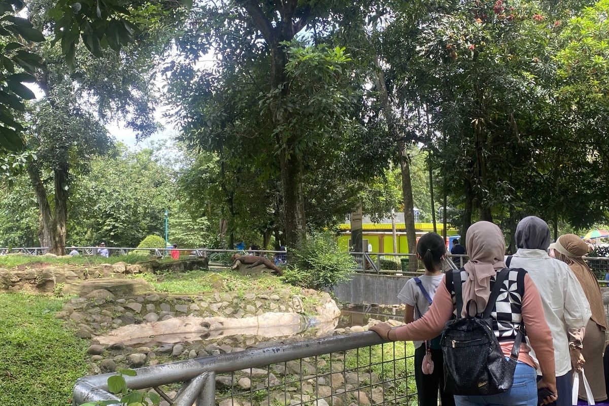 Libur Akhir Tahun ke Ragunan, Ini Rute Naik KRL, Transjakarta, dan MRT