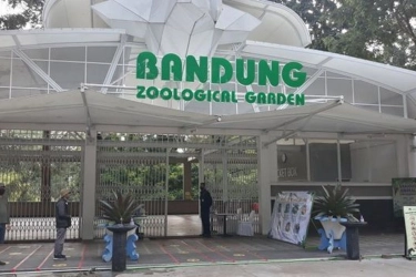 Bandung Zoo Masih Tutup Sejak Agustus, Biaya Pakan Satwa Capai Rp 400 Juta Per Bulan