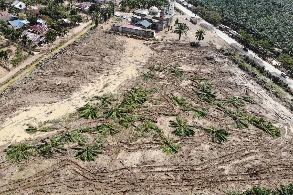 BUMN Mulai Bangun 15 Ribu Hunian Buat Korban Banjir Sumatera, Ada Wifi hingga Air Bersih