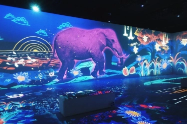 Ide Liburan di Jakarta: Kunjungi 5 Museum Imersif, Tiket Mulai Rp 10.000