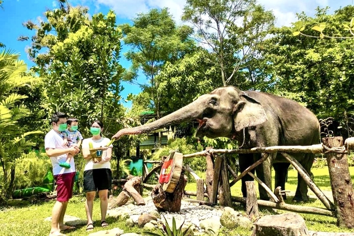 Panduan Wisata Gembira Loka Zoo Yogyakarta, Berapa Harga Tiketnya?