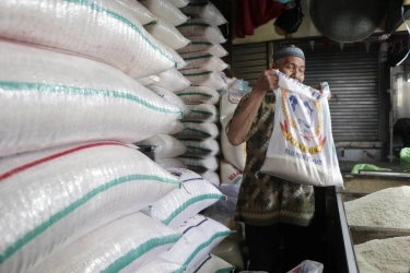 Pemerintah Klaim Harga Beras Turun Usai Satgas Dibentuk