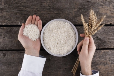 Siapa Raja Ekspor Beras Dunia 2025? India di Posisi Teratas