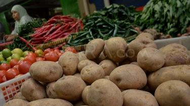 Panel BPN Catat Harga Pangan Turun, Cabai dan Beras Ikut Terkoreksi