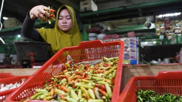 Pemerintah Akui Harga Cabai Rawit Masih Tinggi di Nataru, Tembus Rp 60.000 per Kg