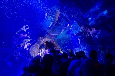 8.000 Orang Padati Oceanarium BXSea, Ini Tips ke Sana agar Tetap Seru