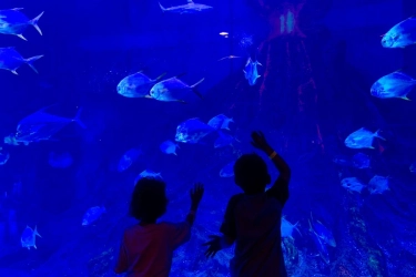 Cara ke Mal Bintaro Xchange, Bisa Naik KRL dan Bus Royaltrans