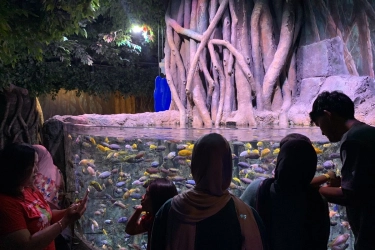 Harga Tiket Masuk Oceanarium BXSea Bintaro Selama Libur Sekolah 2025