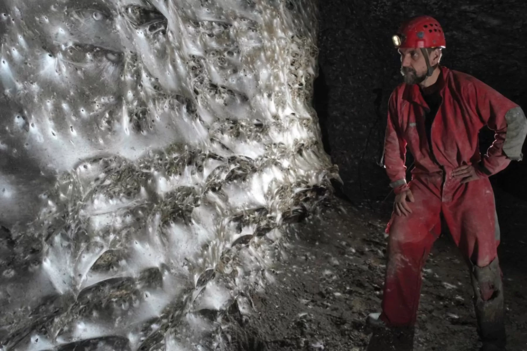Langka! Jaring Laba-laba Terbesar di Dunia Ditemukan di Gua Albania, Isinya 110 Ribu Ekor