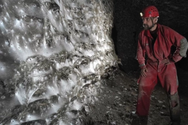 Langka! Jaring Laba-laba Terbesar di Dunia Ditemukan di Gua Albania, Isinya 110 Ribu Ekor