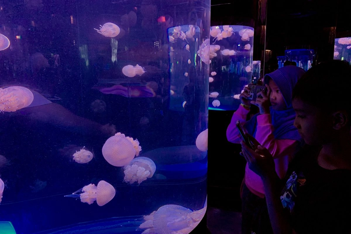 Liburan ke Oseanarium BXSea: Jelajahi Terowongan ''Bawah Laut'' hingga Atraksi Putri Duyung