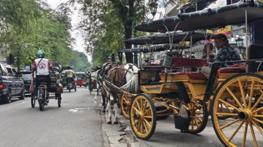 Malioboro Ramai saat Libur Nataru Tapi Pendapatan Sopir Andong Jauh Menurun dari Sebelum Covid
