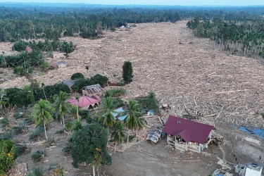 Polri dan Kejagung Gelar Perkara Kasus Kayu Gelondongan Banjir Sumatera