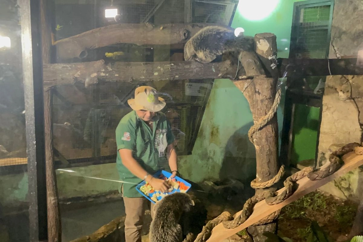 Wisata Malam Ragunan Tetap Buka Saat Libur Tahun Baru, Cek Harga Tiketnya