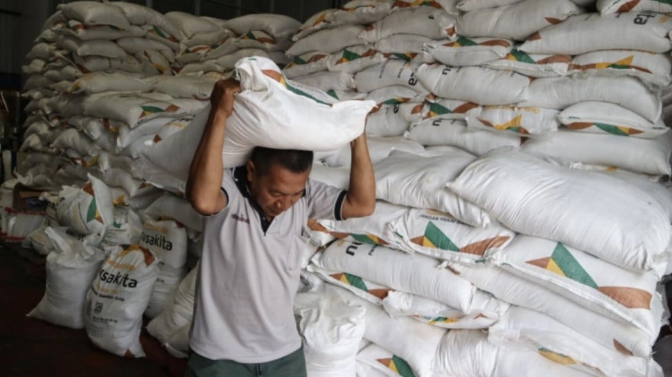 Ambisi Swasembada Gula 2026: Target Bongkar Raton 100 Ribu Hektare Terganjal Masalah Bibit