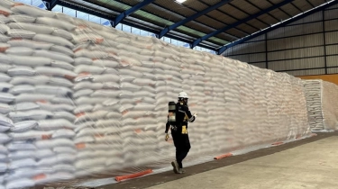 Bulog Bersiap Ambil Kendali Penuh Pasokan Pangan Nasional dan Lepas Status BUMN