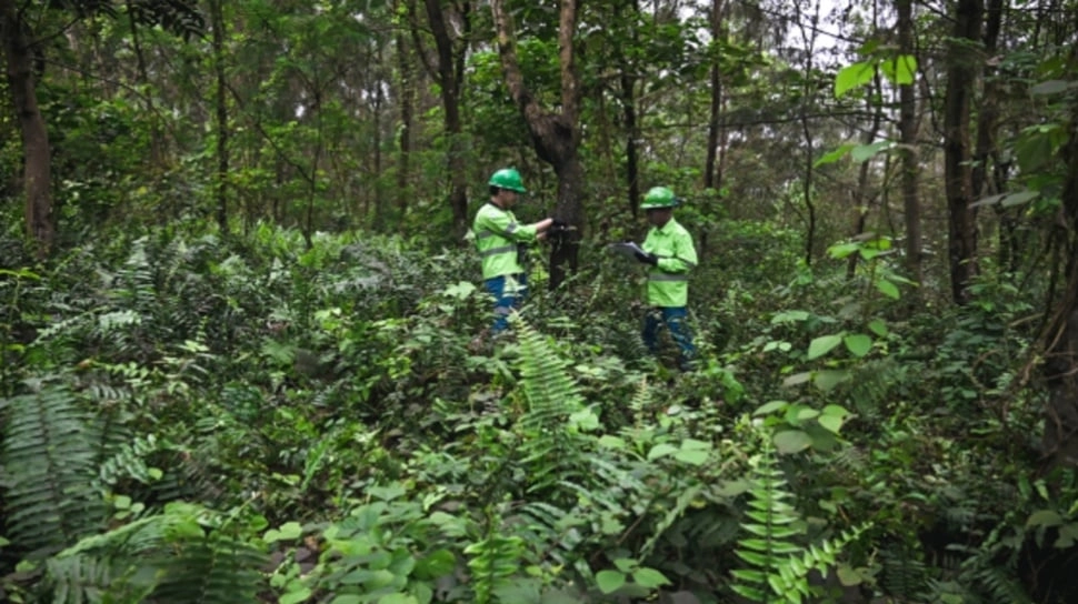 Reklamasi Terintegrasi, Wujud Komitmen Praktik Pertambangan yang Bertanggung Jawab