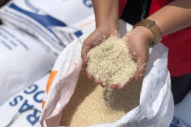 Bapanas: Indonesia Swasembada Beras, Stok Awal Tahun 12,5 Juta Ton