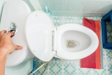 Toilet Duduk Punya 2 Tombol Flush, Ternyata Fungsinya Banyak
