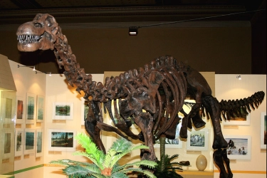 Alasan Tiket Museum Nasional Naik Jadi Rp 50.000