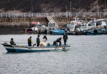Korea Selatan Merekrut Lebih Banyak Pekerja Asing untuk Membudidayakan Hasil Laut