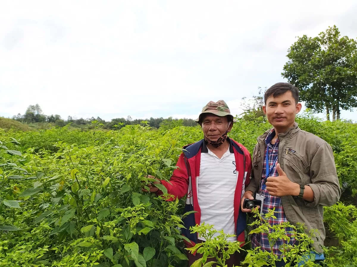 Menjaga Kemenyan, Menanam Masa Depan: Kisah Warga Tapanuli Tumbuh Bersama