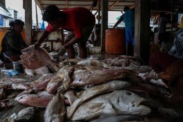 Indonesia Terbahagia di Dunia, Menggugat Paradigma Pembangunan