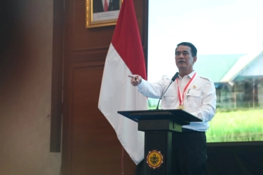 Mengejar Swasembada Beras, Mentan Amran Sempat Vertigo dan Asam Lambung