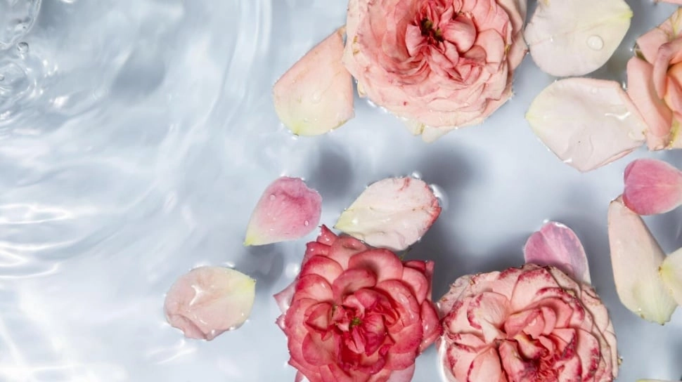 3 Waktu Terbaik Menggunakan Air Mawar agar Wajah Tetap Segar, Intip Rekomendasi Produknya