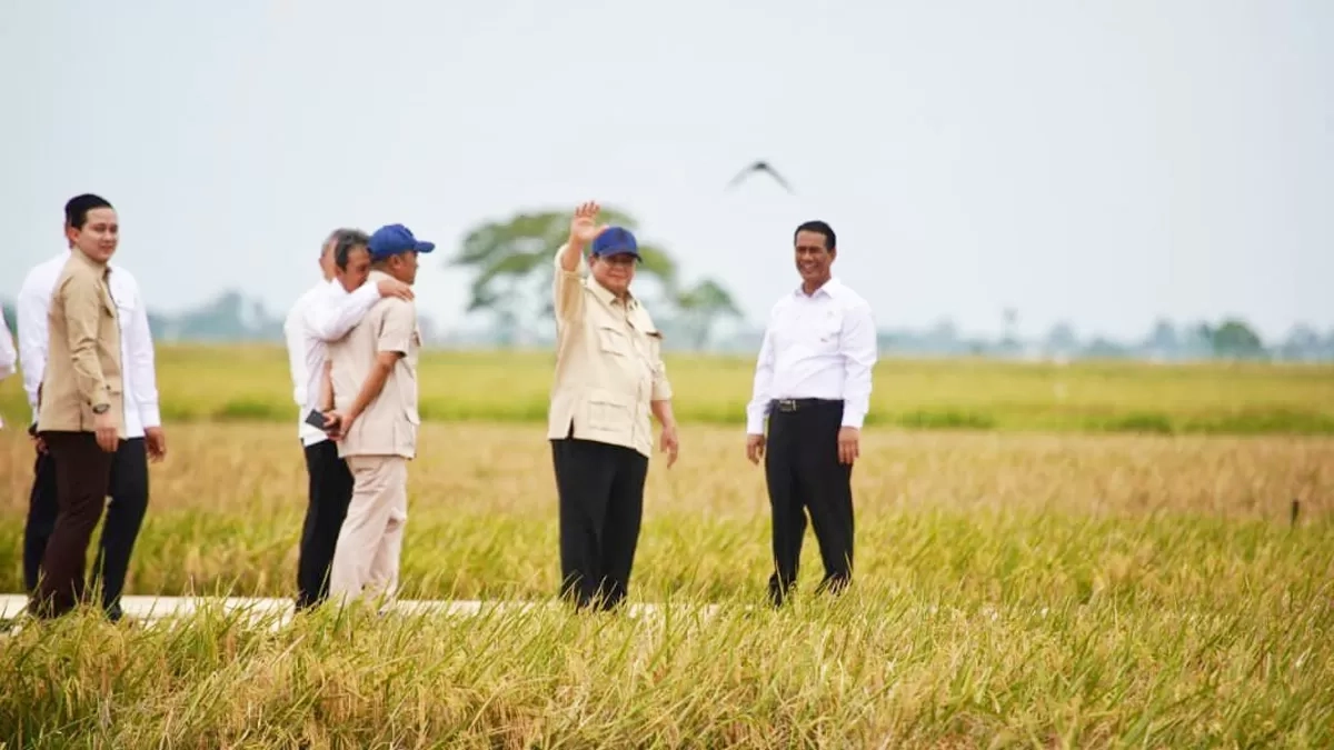 Presiden Pranowo Sebut Kejaksaan Kembali akan sita 4-5 Juta Hektare Lahan Sawit