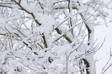 Badai Dingin Lumpuhkan Eropa Barat, Ratusan Penerbangan Batal dan Transportasi Kacau