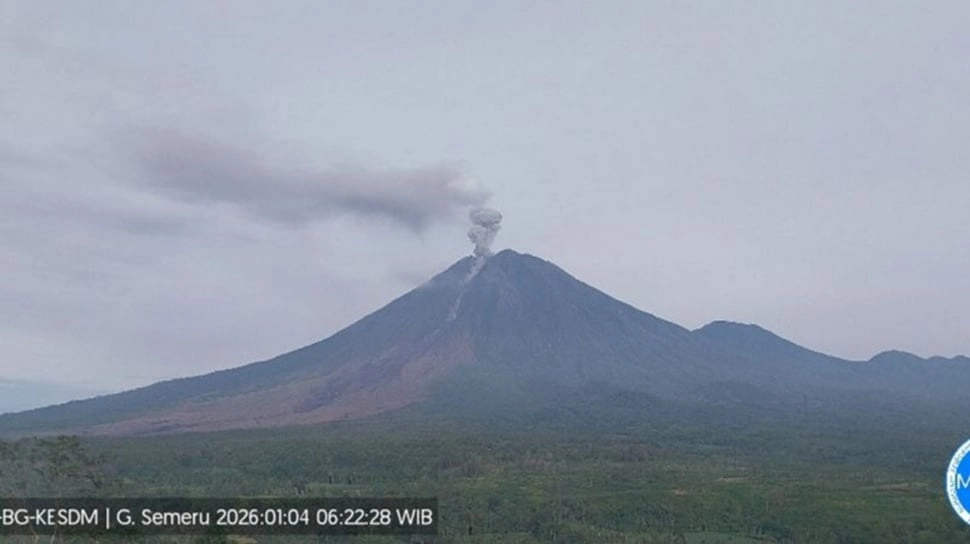 Semeru Muntahkan Awan Panas 4 KM, Kolom Abu Kelabu Membumbung Tinggi, Status Siaga