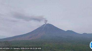 Semeru Muntahkan Awan Panas 4 KM, Kolom Abu Kelabu Membumbung Tinggi, Status Siaga