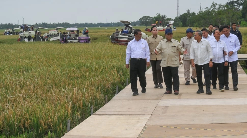 Swasembada Beras Sudah Sejak 2018, Apa yang Mau Dirayakan?