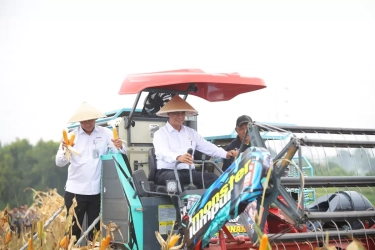 Mentan Sebut Tanam Jagung, Upaya Cegah Kejahatan Sejak Hulu