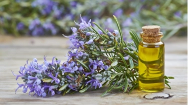 5 Rekomendasi Rosemary Oil untuk Atasi Kebotakan Dini, Cegah Rontok dan Lebatkan Rambut