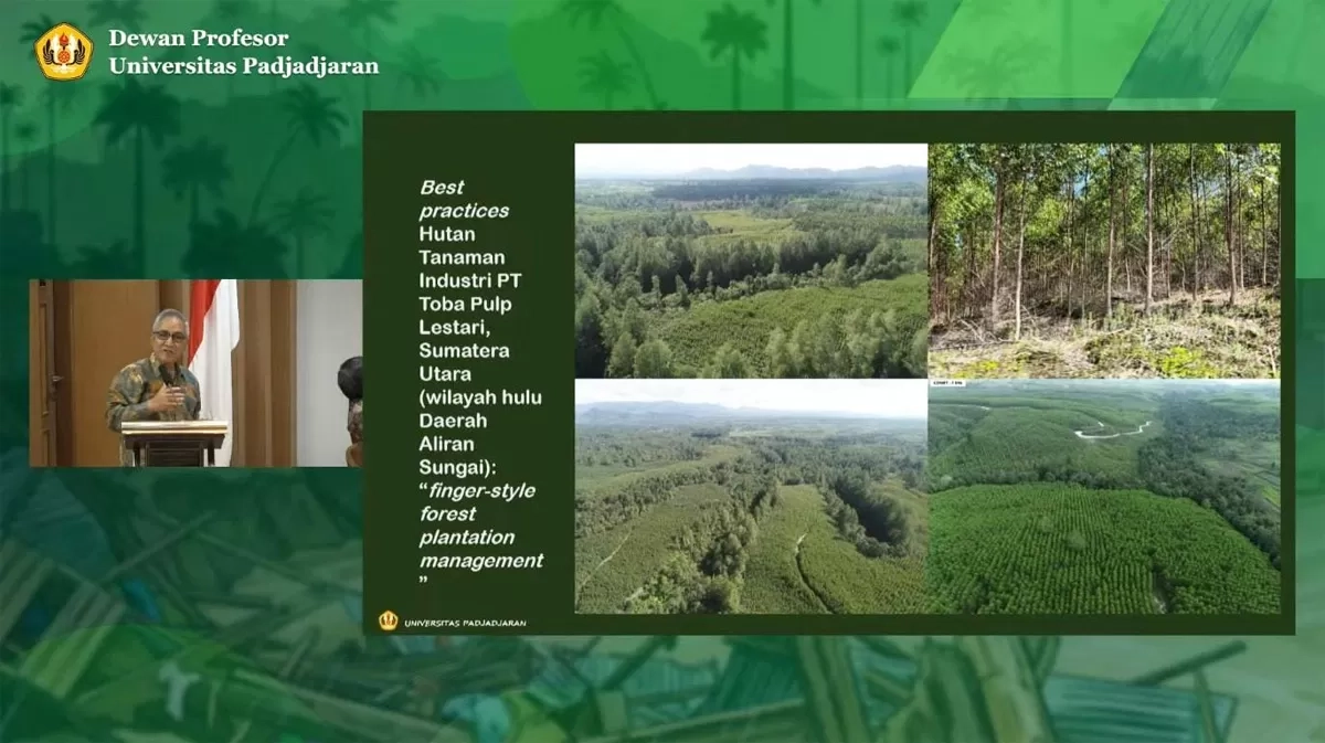 Fingerstyle Forest Plantation Management, Solusi Inovatif agar Konservasi dan Industri Kehutanan bisa Berdampingan Secara Lestari