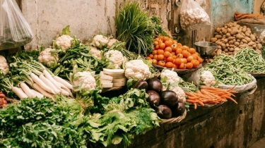 8 Ide Usaha Menjanjikan di Desa dengan Modal Kecil yang Menguntungkan