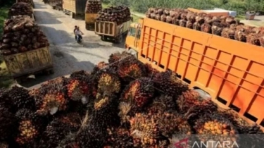 Indonesia-Pakistan Targetkan Negosiasi CEPA, Dari Minyak Sawit hingga Tenaga Medis