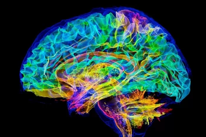 Dunia Memasuki Era Baru Simulasi Otak Manusia Lewat Superkomputer Eksaskala