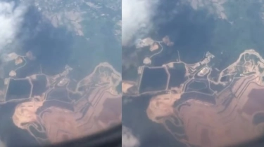 Ini 5 Fakta Kerusakan Hutan di Indonesia yang Jadi Sorotan Dunia