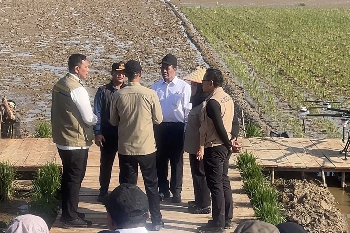 Amran Sampai Titiek Soeharto Tinjau Rehabilitasi Sawah di Aceh Utara