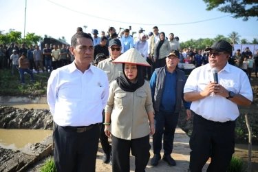 Negara Bayar Petani Sumatera yang Rehab Sawah, Amran: Perintah Presiden